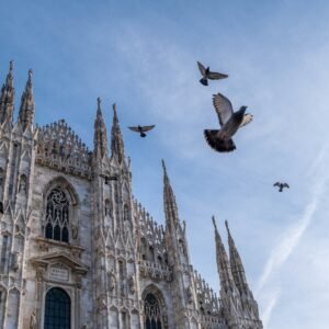 A low angle shot of the pigeons flying above the magnificent Milan Cathedral in Milan, Italy